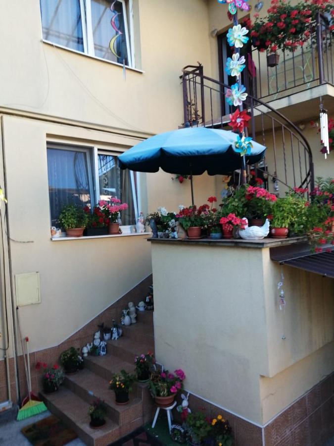 Apartament Cu Doua Camere Si Gradina คลูจ-นาโปกา ภายนอก รูปภาพ
