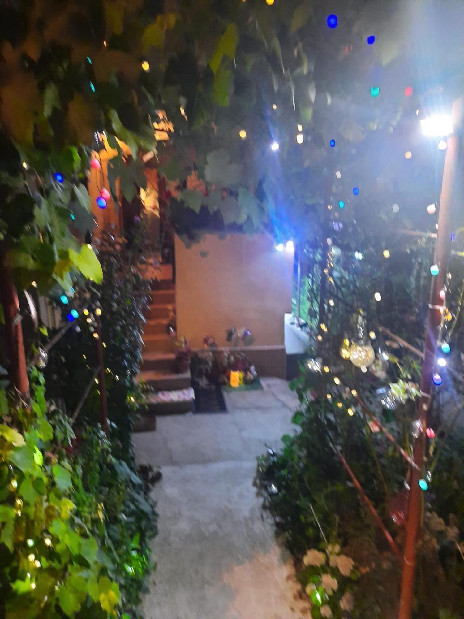 Apartament Cu Doua Camere Si Gradina คลูจ-นาโปกา ภายนอก รูปภาพ
